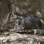 FITS_225 (May 04, 2019)